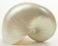 Parkinson Patienten können von Parkinson Online-Angeboten und Netzwerken profitieren