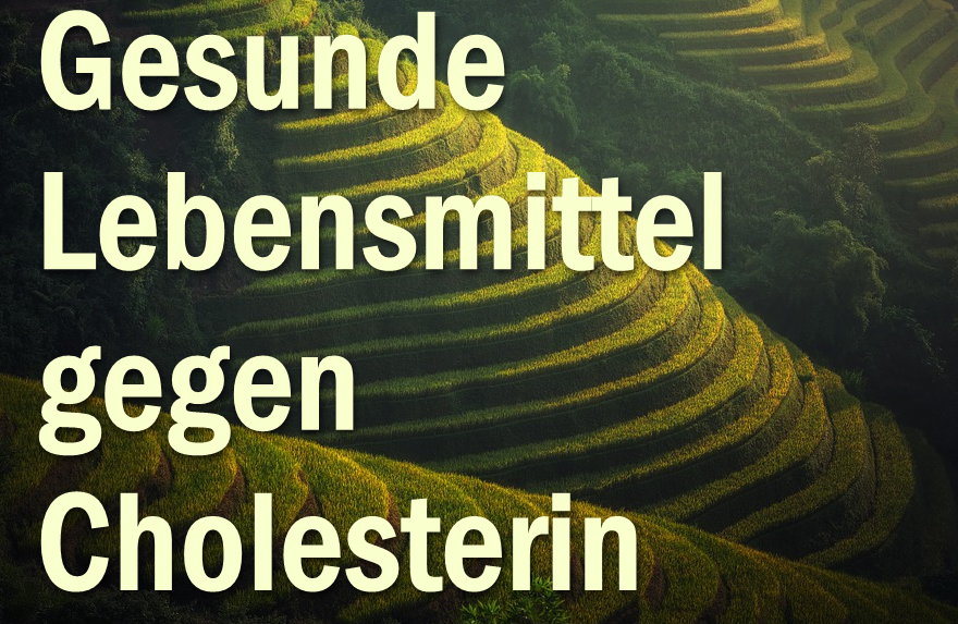 Hilfe gegen zu viel Cholesterin mit natürlichen Lebensmitteln vorbeugen